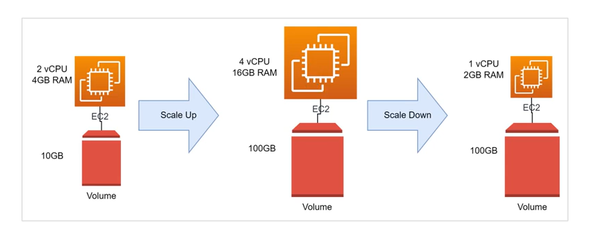 scale up/down